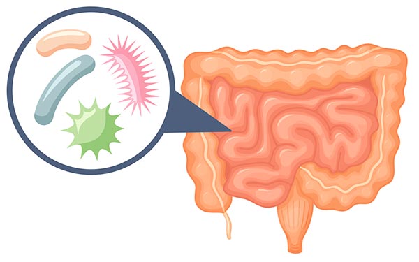 Not Your Average Probiotics: Try MicroBiome-optimized BIOM Probiotics !
